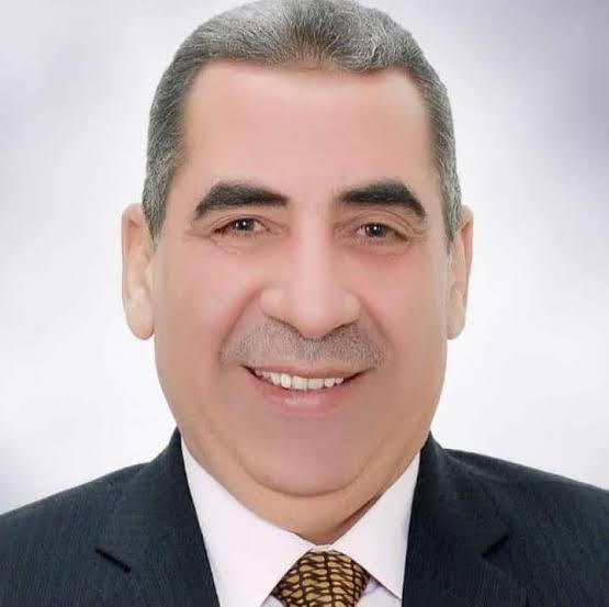 فايز الضباعني رئيس مصلحة الضرائب المصرية